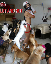 album-cover