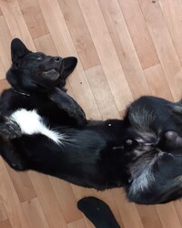 album-cover