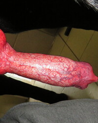 photo-thumb
