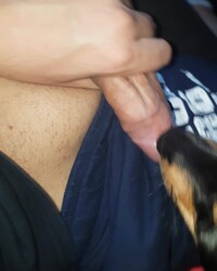 photo-thumb