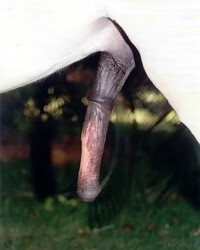 photo-thumb