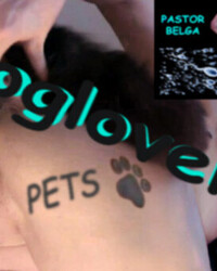 album-cover