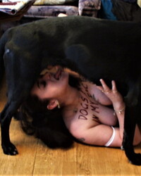 album-cover