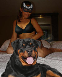 album-cover