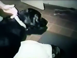 Amateur - Couple and a dog