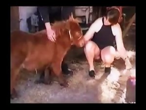Amateur - Mini-Horse Fun