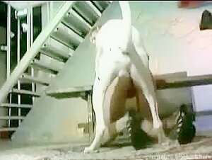 Animal Series Fuckin Partner Dog