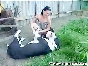 Animal Dog and Teen Whitney