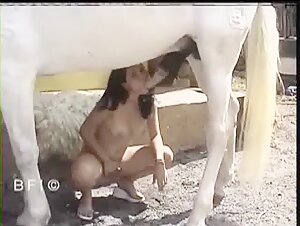Brazilian girl sucking white horse