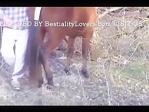 Caledonian - Fun Wth The Stallion