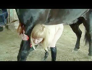 Team Russia Horse lovers