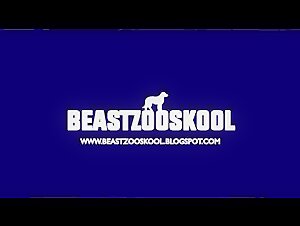 Thumb 10