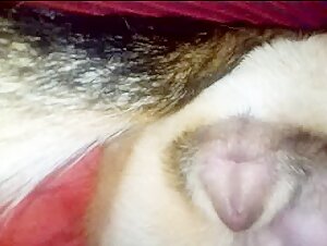 Thumb 7