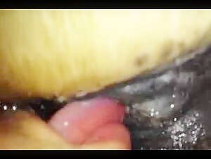 Licking mares pussy