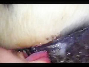 Thumb 9