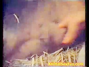 Old video Sex with pig