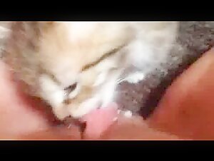 Cat licking my big clit