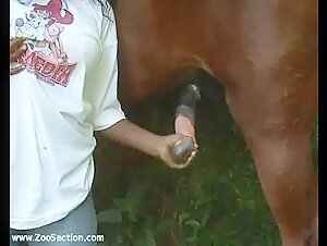 Two lovely girls and horse