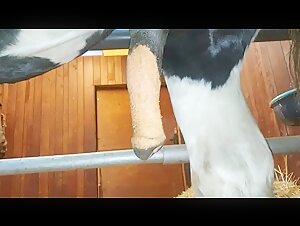 Thumb 7