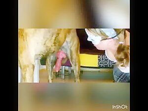 Dog Handjob and Fuck German