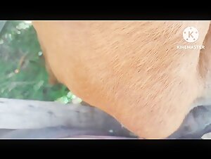 Thumb 10