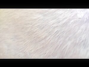 Thumb 6