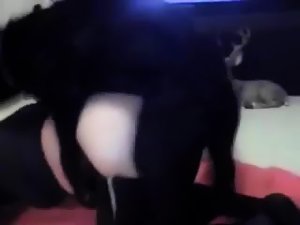 Rubia folla perro negro