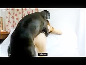 K9-Maya Wild Appetite