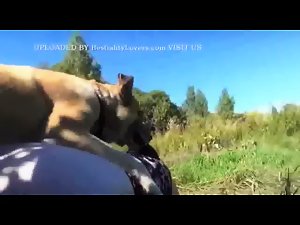 New Dog Russian Team