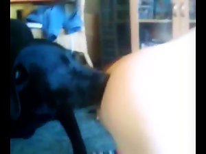 Veterana en la zoofilia