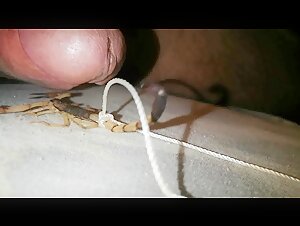 Thumb 6