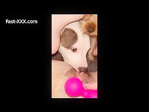 whore4dogs lick