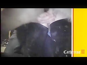 Live horse cam