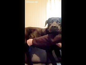 Dog dick addicted old women