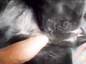 Thumb 9