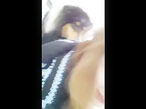 Pretty girl play with dog at home, dog lick_video3
